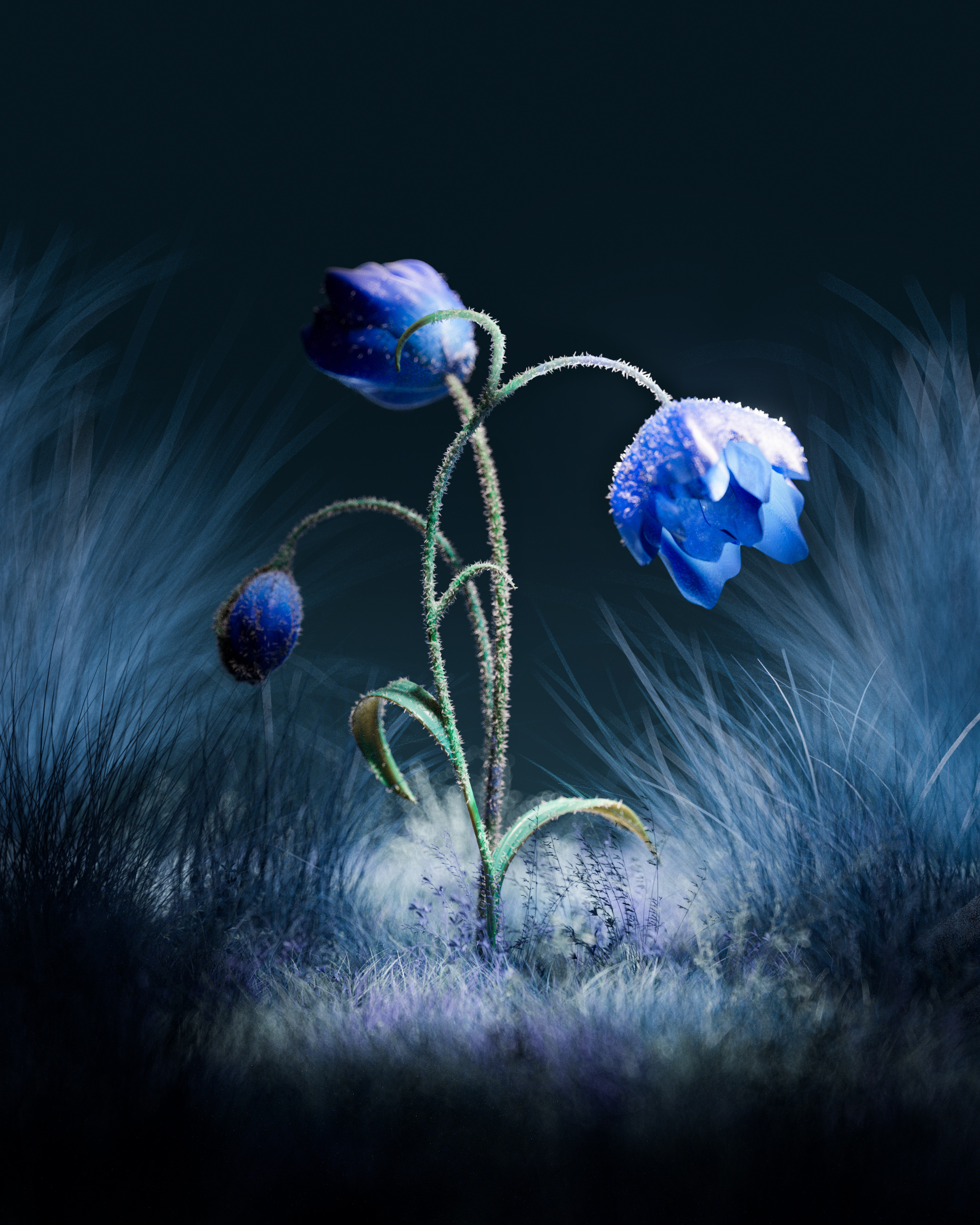 Botanical Exploration