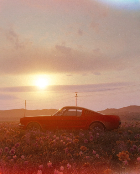 Ford Mustang Fastback