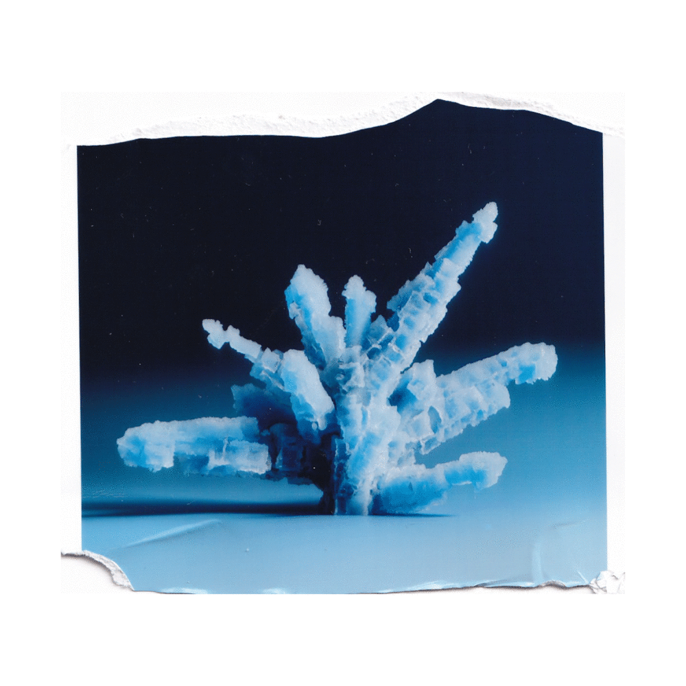 CGI Crystallization & Microscope Study